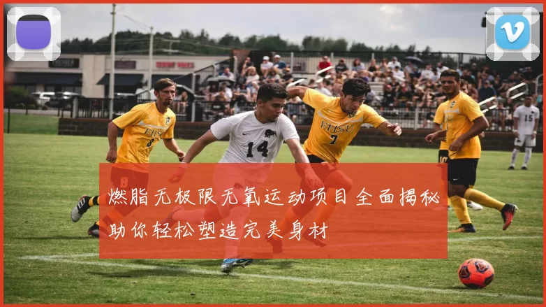 燃脂无极限无氧运动项目全面揭秘助你轻松塑造完美身材