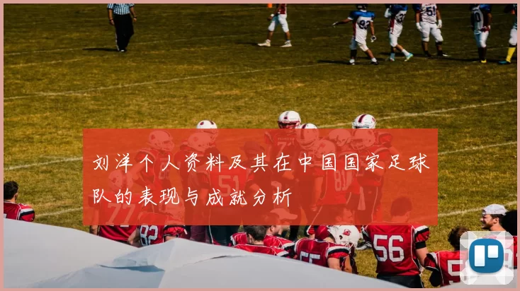 刘洋个人资料及其在中国国家足球队的表现与成就分析