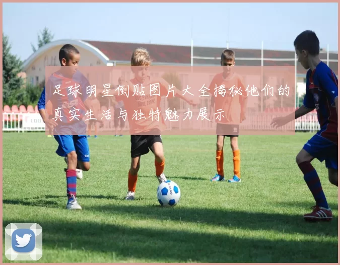 足球明星倒贴图片大全揭秘他们的真实生活与独特魅力展示