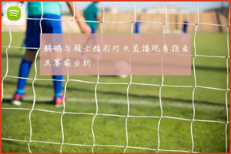 鹈鹕与骑士精彩对决直播观看指南及赛前分析